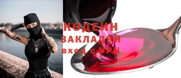 2c-b Бородино