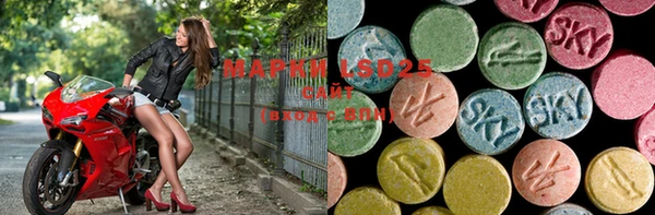 2c-b Бородино