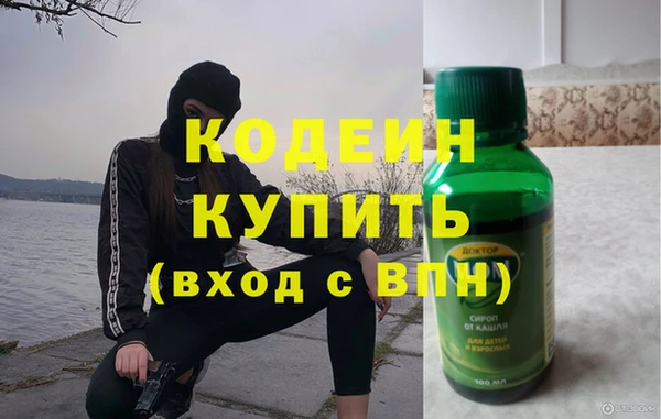 2c-b Бородино