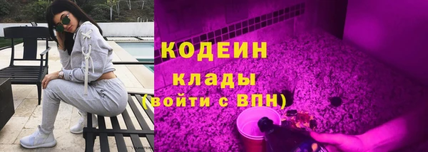 2c-b Бородино